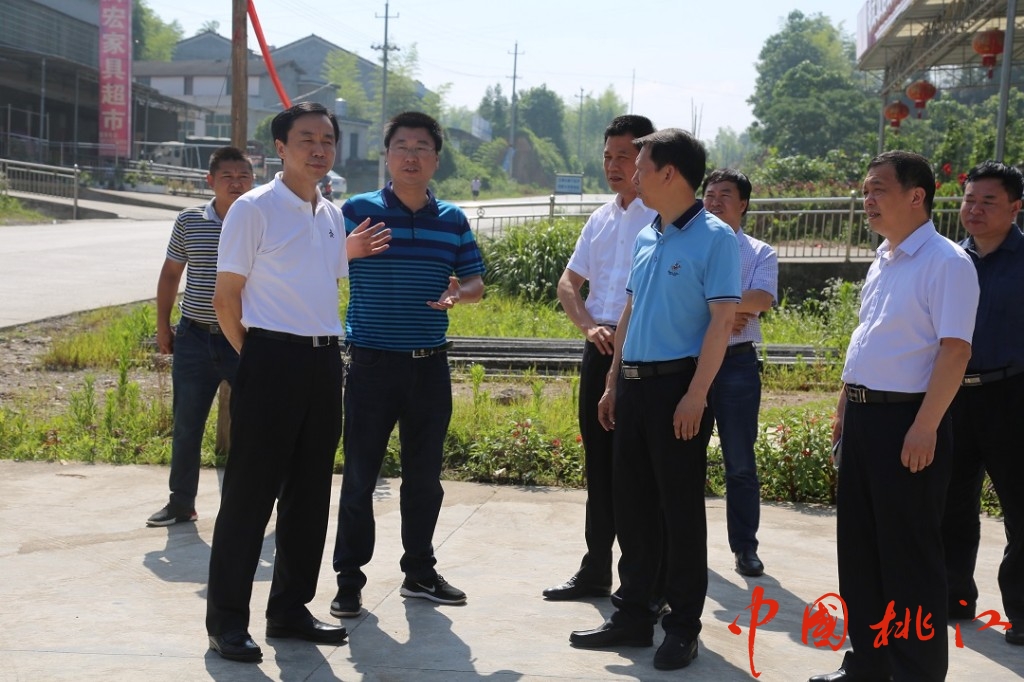 徐云波一行查看红金村村民住房建设情况 陈倩摄.JPG