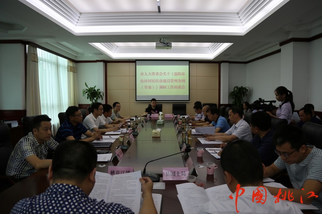 调研座谈会议现场 陈倩 摄.JPG
